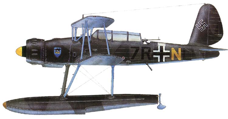 一架阿拉多 Ar 95V-1 停放在机场，机徽显示其隶属第125海上侦察大队第3中队（3/SAGr.125）。该中队是德军使用Ar 95最多的单位之一，在波罗的海地区执行侦察任务，1941年10月曾参与「蒙海峡群岛登陆战」。