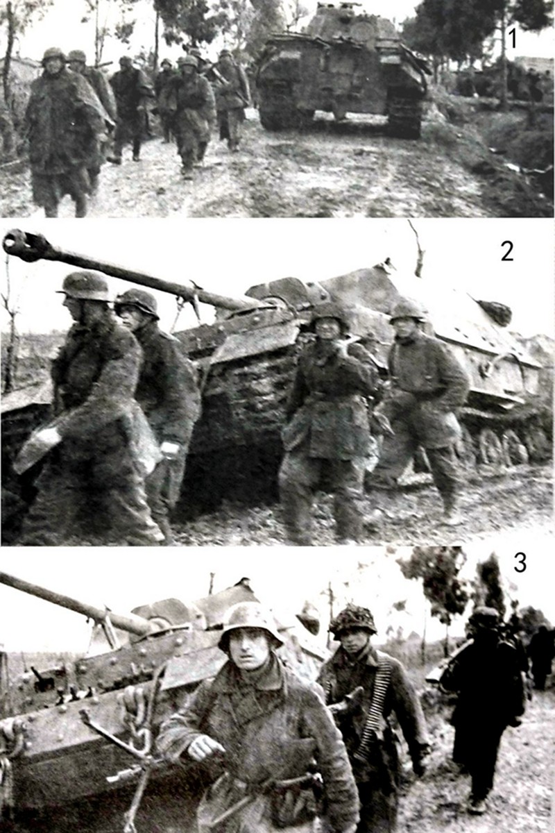 1944年2月，美军在意大利安齐奥和内图诺发起登陆战，德军653重装甲歼击连携11辆经过大修和改造的「费迪南德」/「象」式坦克歼击车由火车运输赶赴意大利战场。到达意大利后，由于当地暴雨连连，公路泥土松软，重型歼击车难以行动，使德军原反攻计划被迫推迟。图2、3中一辆「象」式在行进中被陷在路旁抛锚，在战车旁边经过的是「戈林」伞兵装甲师的士兵。