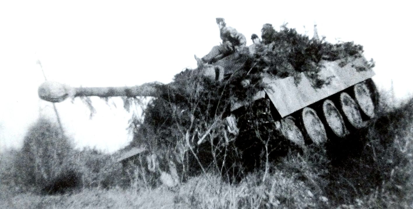 1944年11月底，在哈尔特森林附近，德军654重坦克歼击营的连长吕德斯上尉正在指引一辆「猎豹」重型坦克歼击车进入伏击阵地。在西线战场上，654重坦克歼击营与盟军展开了激烈的交锋，在1944年11月的战斗中，该营共击毁盟军52辆坦克，击伤9辆坦克，击毁和击伤5辆装甲车和装甲运兵车，击毁10门反坦克炮，消灭1个步兵连。而该营自身一共有15辆「猎豹」重型坦克歼击车战损。