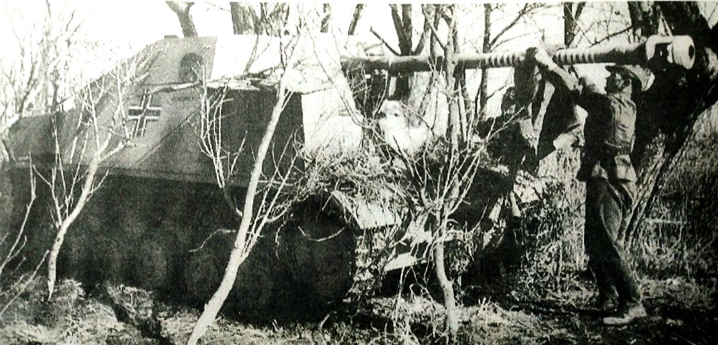1943年东线苏联战场，德军第560反坦克营的一辆75mm「黄鼠狼」Ⅱ（131）型反坦克炮车隐藏在树林中，炮车乘员正在对火炮进行清洗，作下次战斗的准备。