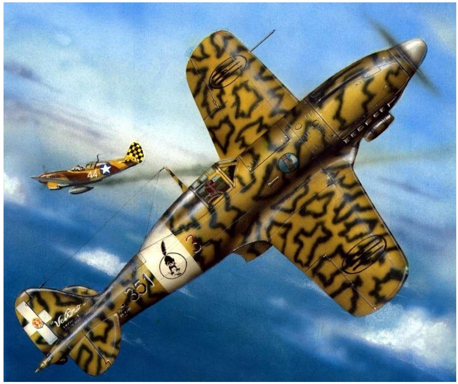 航空画描绘的一架马基C.205V「猎狗」(机号351)与一架P-40战斗机的空战场景,机身为黄褐色蛇纹迷彩,尾翼为绿白红三色识别带。1943-1944年间,意大利社会共和国空军的C.205V在地中海与意大利战场多次与盟军战斗机交锋。