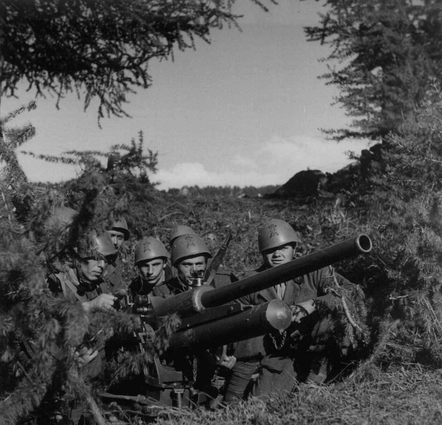位于阿尔卑斯山脉的山地战斗中,意军第67「巴勒莫」步兵团的士兵正使用47/32反坦克炮进行瞄准射击。