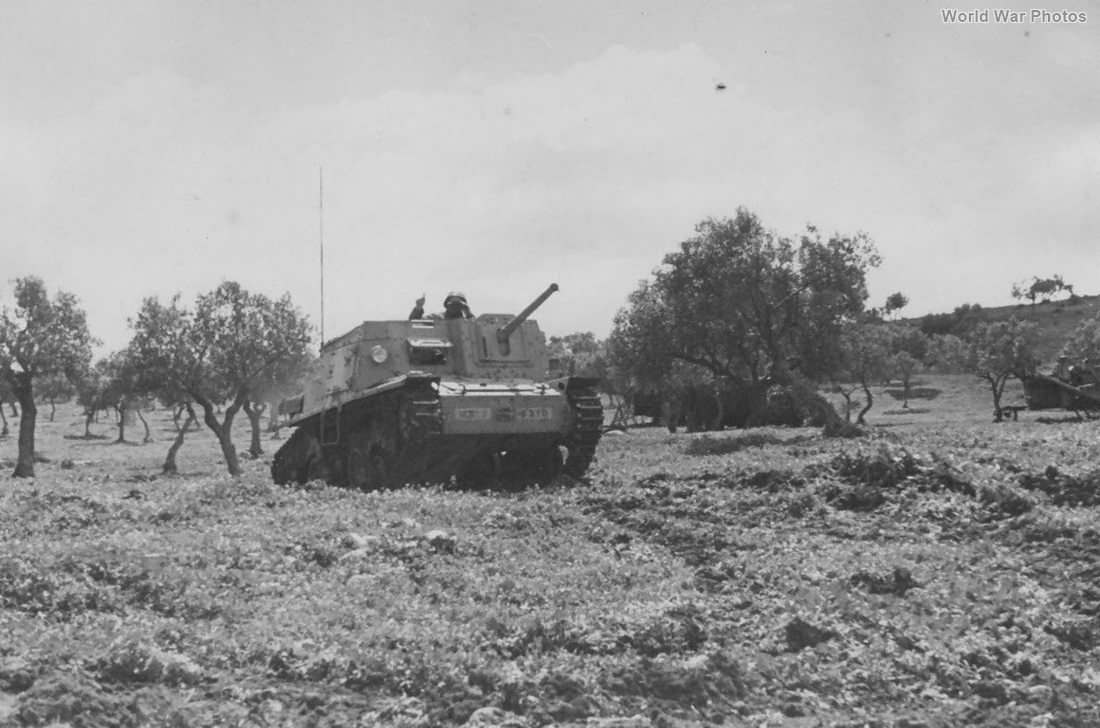 1943年,北非突尼斯,意军Semovente 47/32自行火炮。