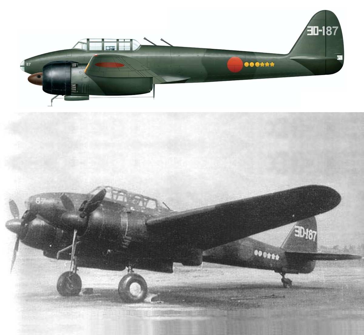 隶属第302海军航空队第2中队、垂尾编号「ヨD-187」的J1N1-S月光双引擎夜间战斗机以及其彩色涂装复原图。注:该机于1945年1月部署在神奈川县厚木空军基地。