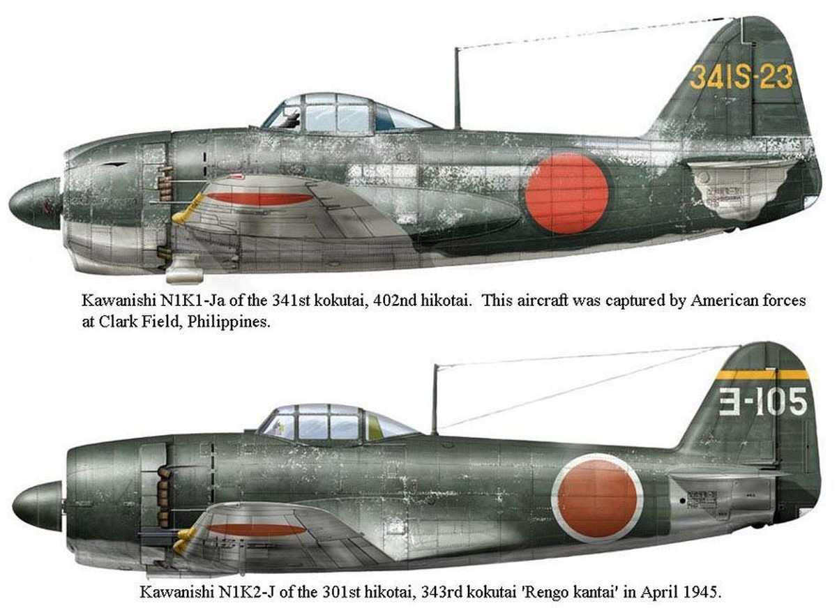 第341海军航空队第402飞行中队紫电（N1K1-J）、以及第343海军航空队第301飞行中队紫电改（N1K2-J）战斗机的侧面对比彩色绘图。