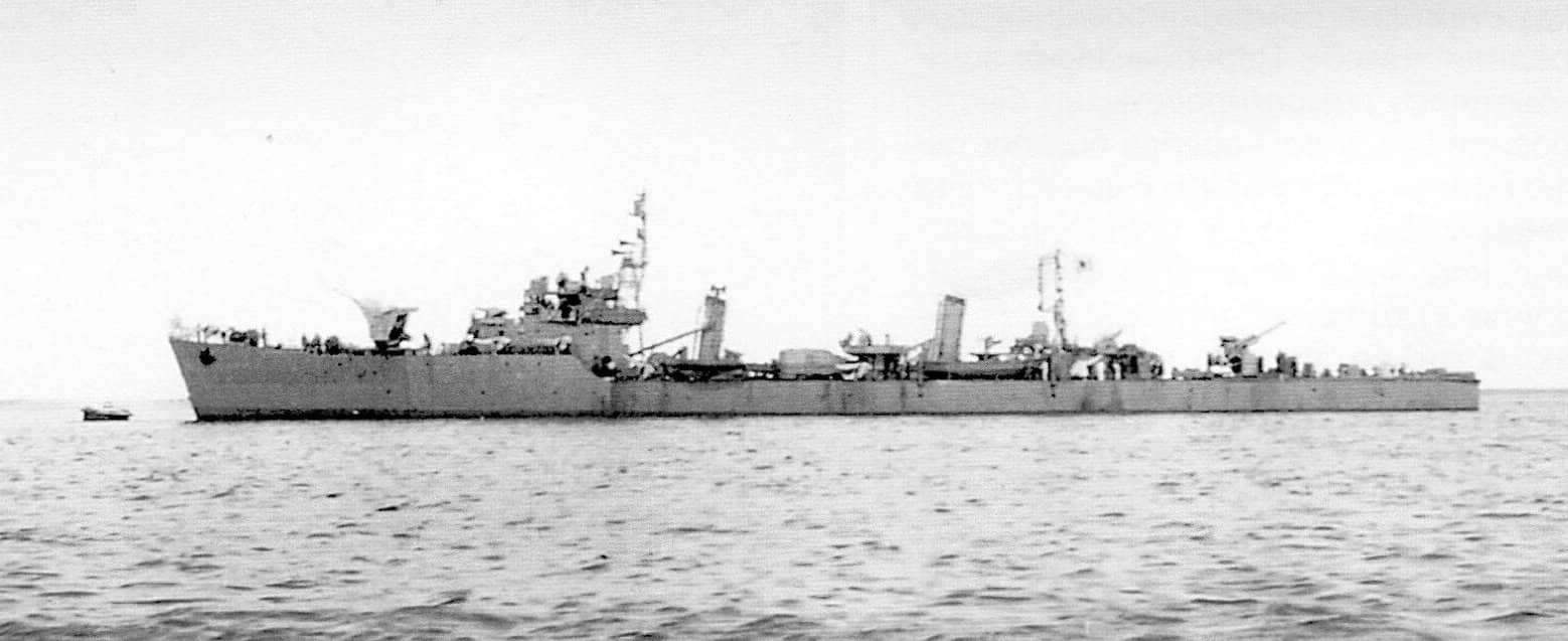 楡