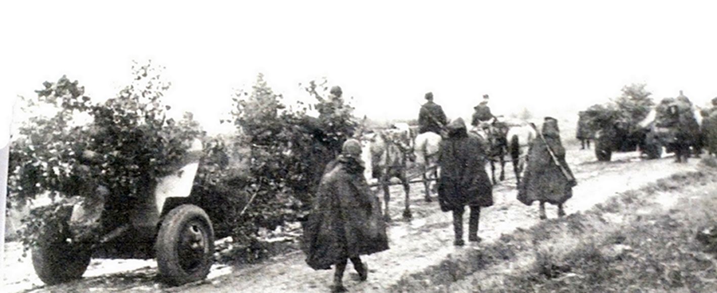 1942年间，「苏德战争」期间，东线苏联战场，苏军一支炮兵部队正在转移，多门1942式76毫米加农炮用马匹拖带着在公路行进，为了避免被德国飞机发现，这些炮都用树枝作了伪装。1942式76毫米加农炮可用拖拉机、吉普车、坦克甚至马匹拖拽，它1.15吨的重量能让它轻易地在苏联各种不同路况的道路上行动，即便陷入雪地泥泞中，也可以通过人力来推动。