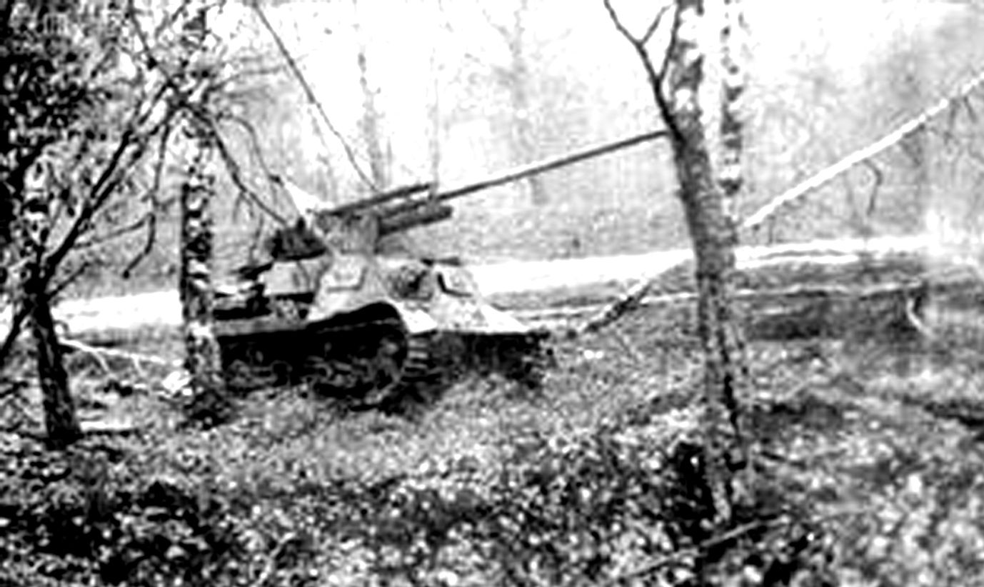 1941-1942年间，「苏德战争」期间，苏联战场，一辆在树林中的ZiS-30反坦克炮车。