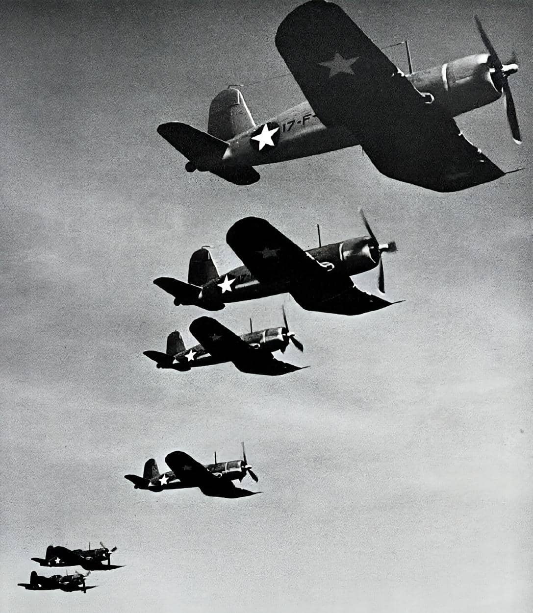 VF-17「骷髅」中队早期装备的F4U-1「海盗」战斗机编队飞行。在1943年的「所罗门群岛战役」期间,F4U主要作为陆基战斗机作战,凭借速度与俯冲优势对抗日军零式战斗机,日军指挥层首次承认出现了能与零式匹敌的美军新式战斗机。