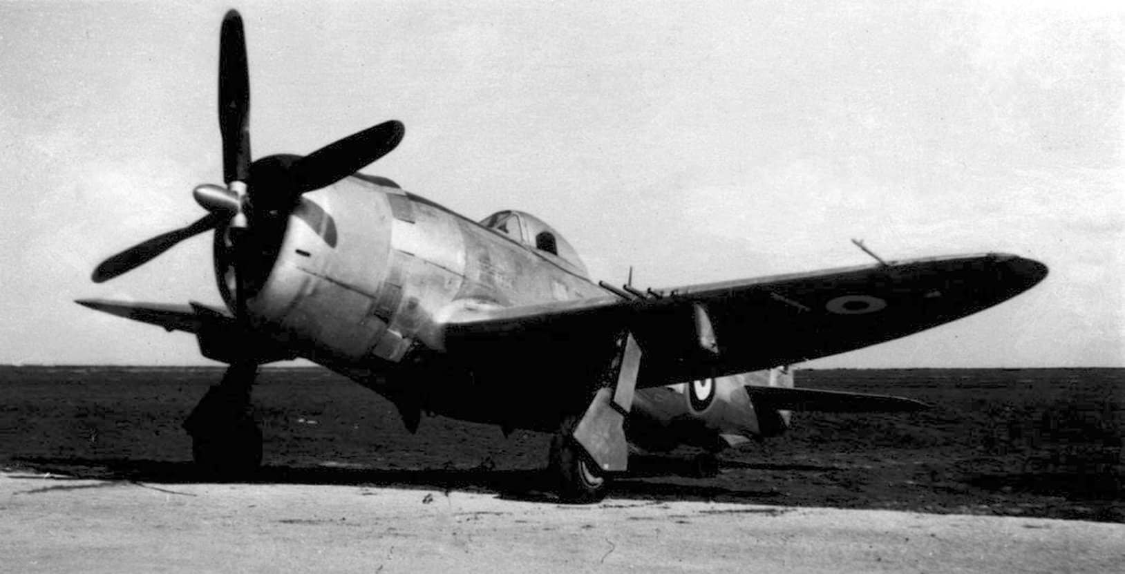 隶属于法国空军第3/3「阿登」(EC 3/3,Ardennes)战斗机中队的一架共和P-47D「雷电」战斗机。该中队于1944年10月接收了25架P-47D,并一直使用该机型,直至1946年3月在德国科布伦茨解散。