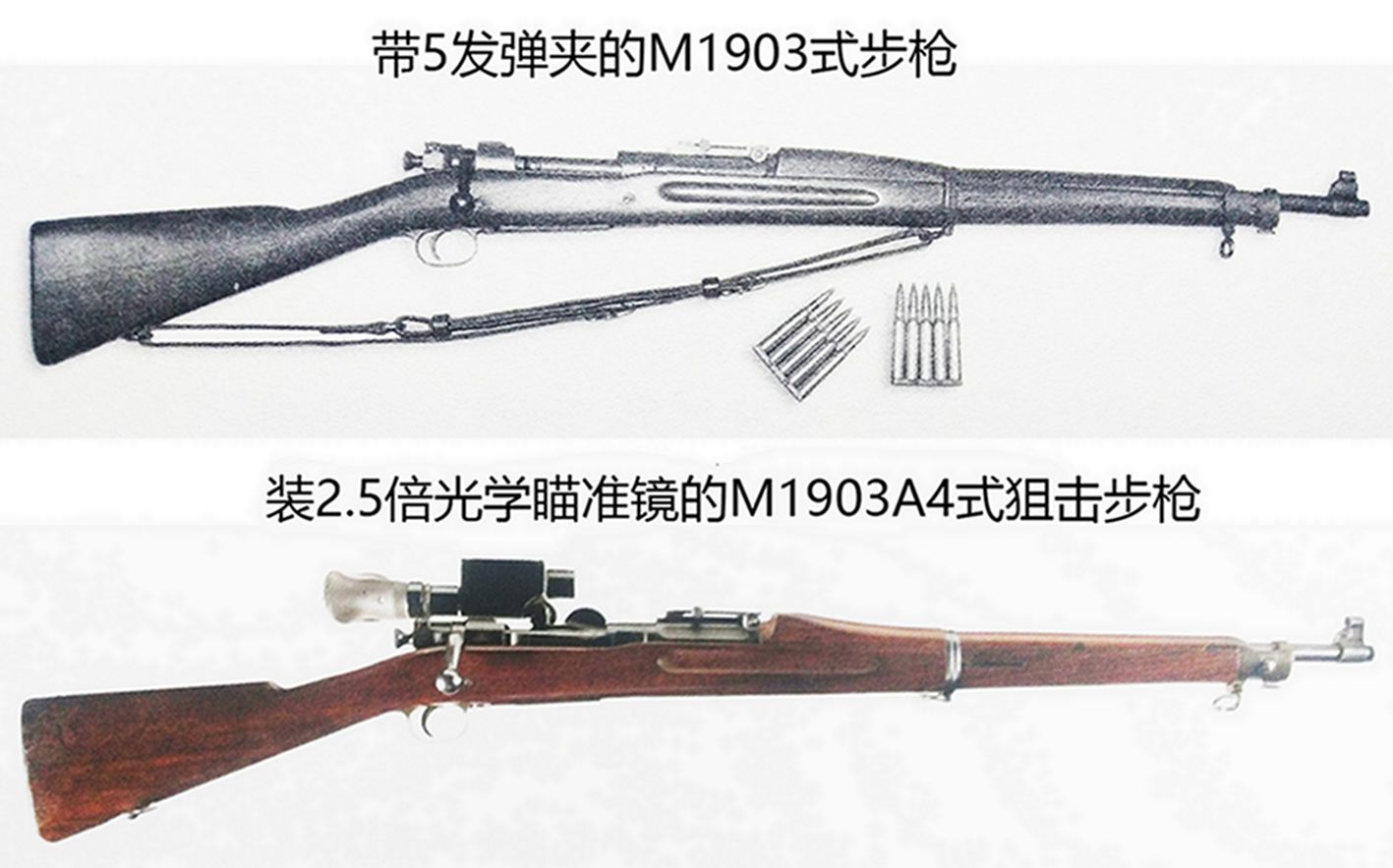 M1903「斯普林菲尔德」步枪