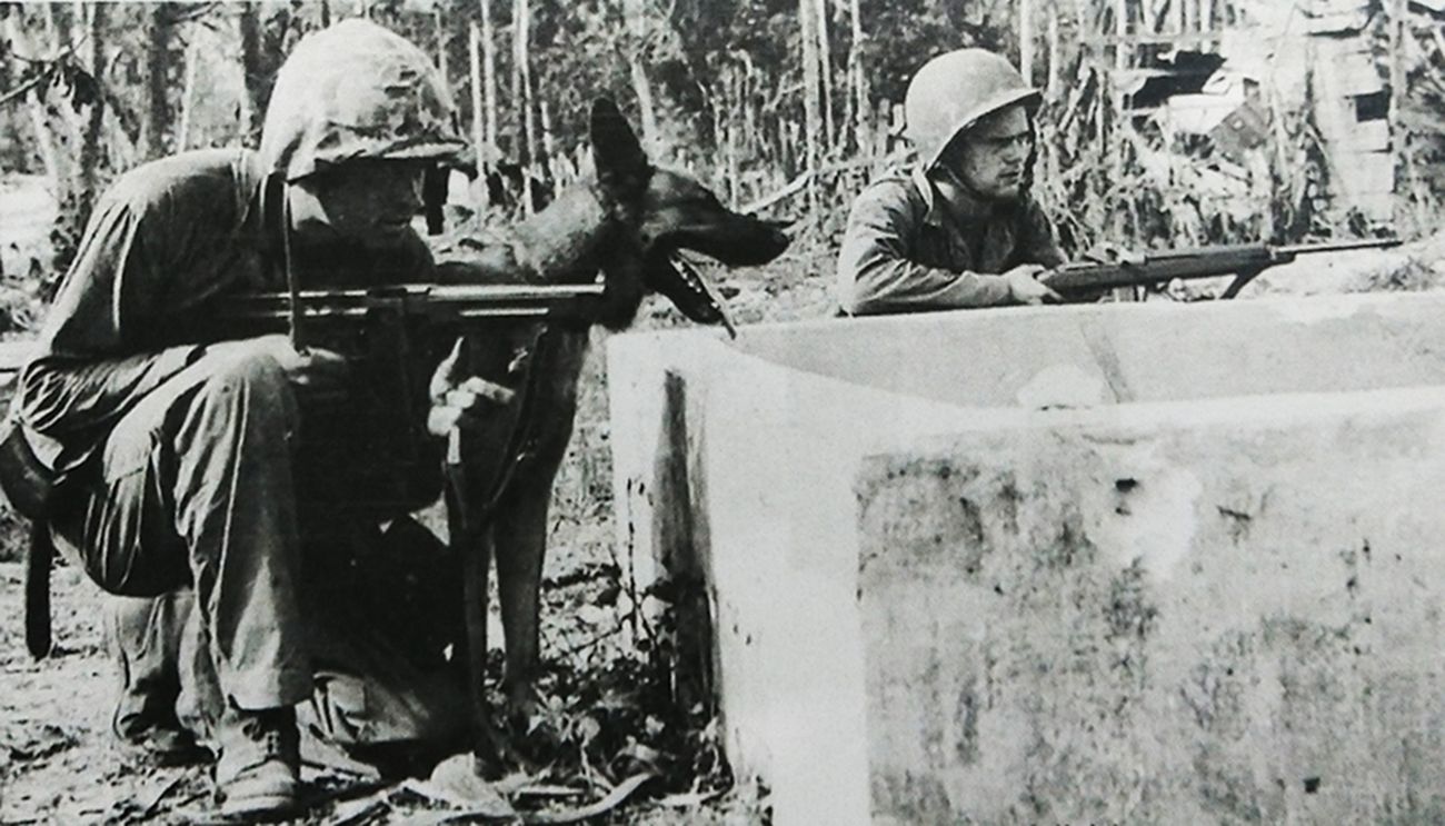 1944年9月，太平洋战场，美国海军陆战队一个带警犬的战斗小组正准备出击。牵着警犬的士兵手持汤普森冲锋枪，其余士兵则都拿着M1卡宾枪。